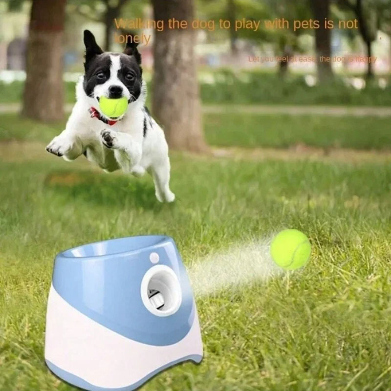 Lanciatore di cani Automatico  - Catapult Launcher Toy recensione e prezzo